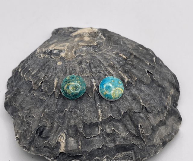 Blue medium studs