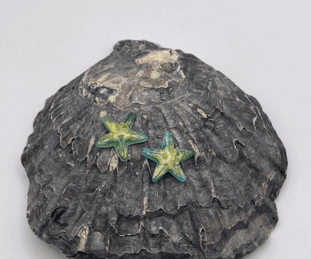 Starfish #1