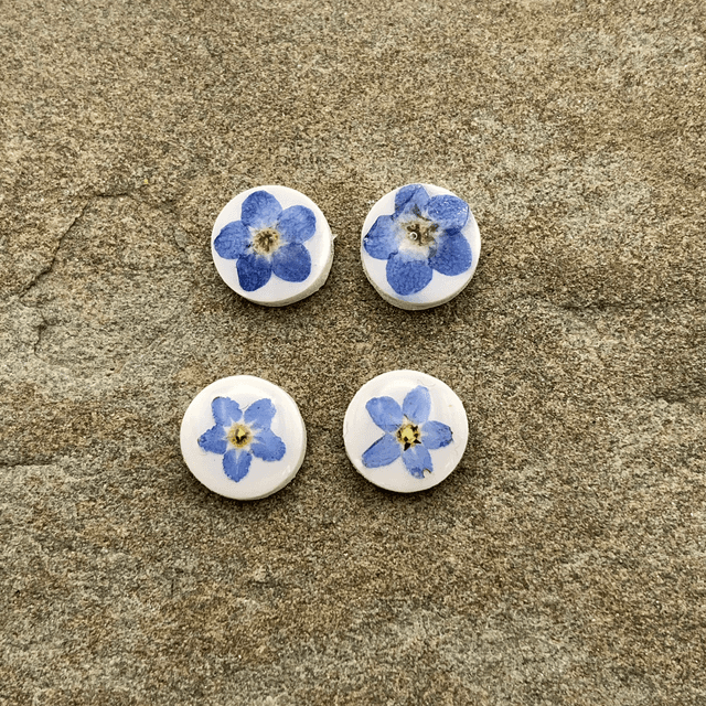 Small forget-me-not studs