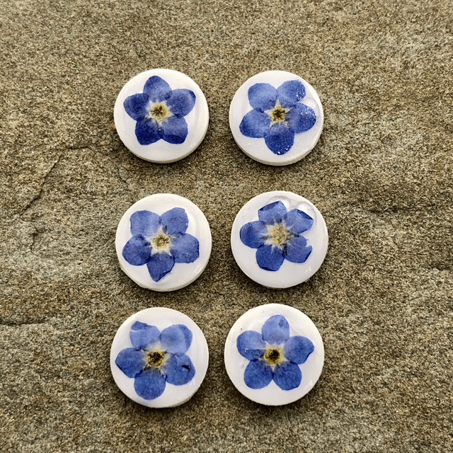 Medium forget-me-not studs