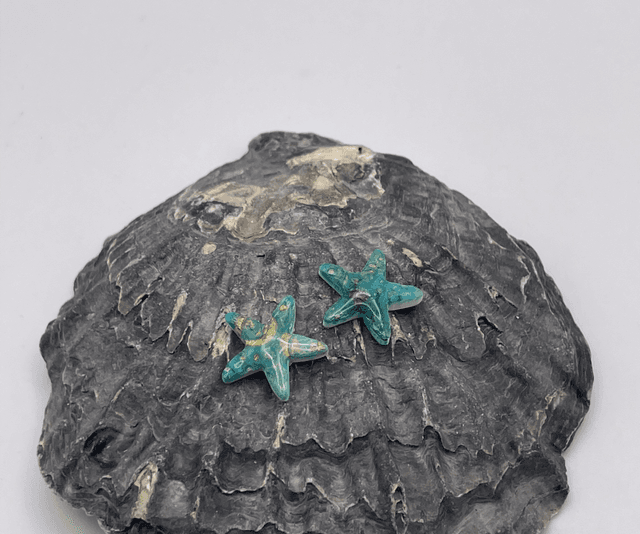 Starfish #3